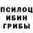 Галлюциногенные грибы мицелий Trish All
